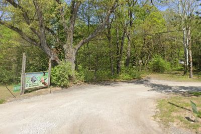 Exotic deer escape from Michigan zoo after fence was intentionally cut