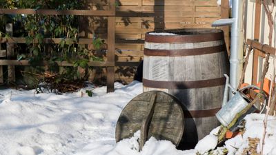 How to winterize a rain barrel – experts reveal 4 easy steps, and why you should always store it upside down