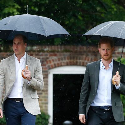 Prince Harry and Prince William Avoid a Joint Appearance With Separate Diana Award Tributes