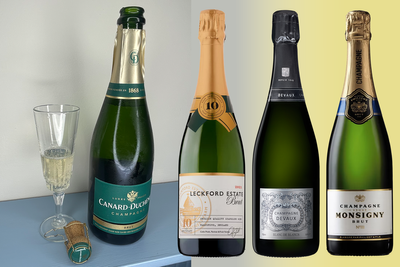 18 best champagnes taste tested by a wine expert, from supermarket to luxury fizz