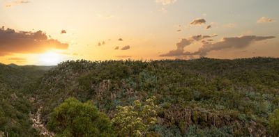 Scientists counted 49 ways Australia is destroying the ecosystems we hold dear – but there is hope