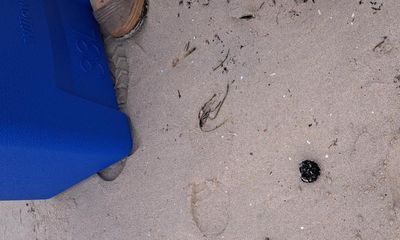 More mystery balls wash up in south Sydney weeks after ‘fatbergs’ close eastern suburbs beaches