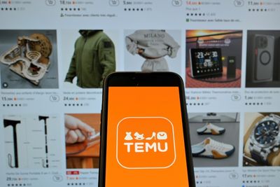 Chinese Shopping App Temu Suspended In Vietnam: State Media