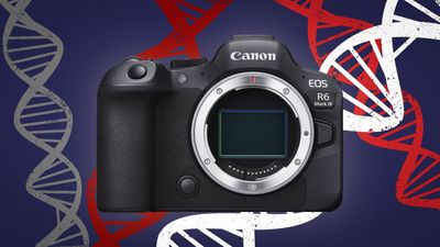 DNA transplant: will the Canon EOS R6 Mark III feature former flagship tech?