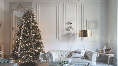 Just moved out and Christmas decorating for the first time? I'm a professional organizer and my 5 simple storage tips will help with the clear up