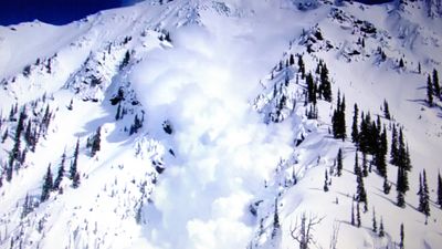 Mountain rescue warns all backcountry users to carry this life-saving gear as skier suffers "significant injuries" in avalanche