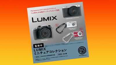 This Panasonic Lumix GH5 costs under £3!