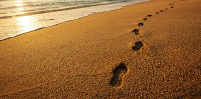 Fossil tracks paint a picture of South Africa’s ancient coastal landscape: five essential reads