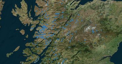 New mapping tool reveals Scotland’s ancient 'ghost' woodlands