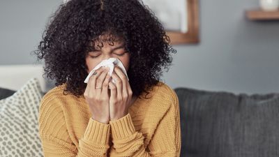 What's the difference between a cold and the flu?