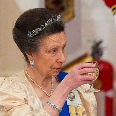 Princess Anne Narrowly Avoided Breaking Royal Protocol at the State Banquet For Qatar