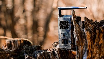 How to buy a trail camera – a pro photographer reveals how to buy the perfect gift for gardeners