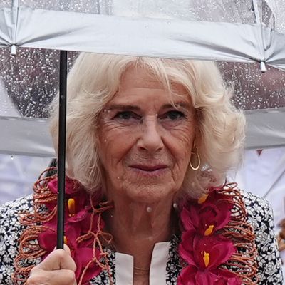 Queen Camilla Is "Vulnerable" Following Pneumonia Diagnosis and Her Friends Are "Extremely Concerned"