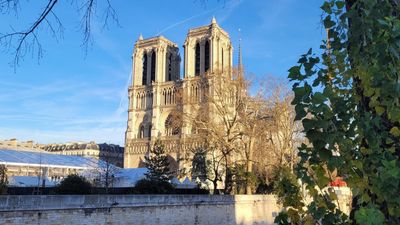 Scientists build a virtual twin of Notre-Dame to help restore its glory