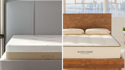 Memory foam vs latex: Which mattress material is best for back pain?