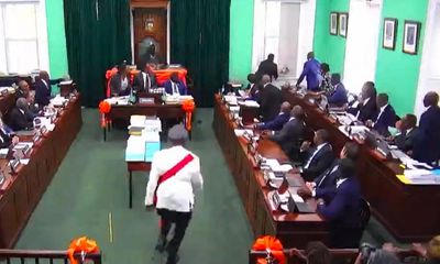 Chaos in Bahamas parliament as MP throws ceremonial mace out of window