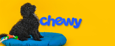 Buy the Dip? Chewy Stock’s Growth Story Is Far From Over