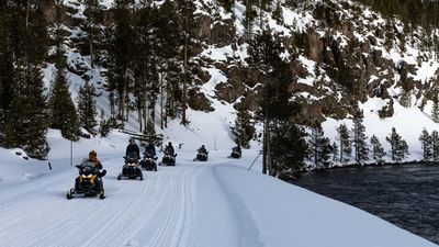 A Snowmobile Tour Guide Caused a Bison Stampede in Yellowstone National Park