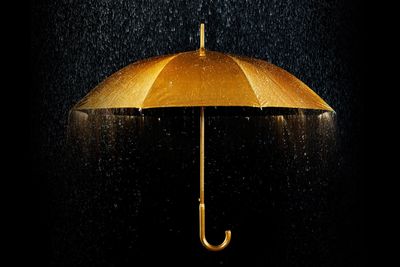 Umbrella insurance could be crucial in an emergency