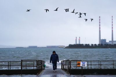 Seven counties under red wind warning as Storm Darragh hits Ireland