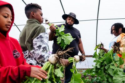 From field to farm: the US pro athletes trying their hand at agriculture