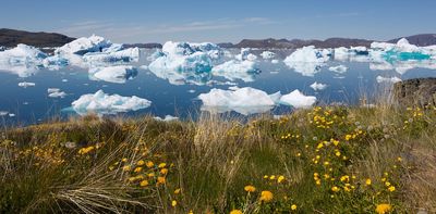 Greenland is getting greener – helped by a mining company and a group of tree enthusiasts