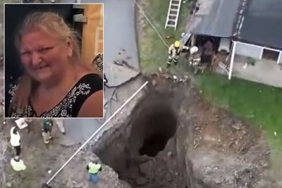 Horrific End to Search for Pennsylvania Grandma Who Fell Into Sinkhole While Searching for Cat