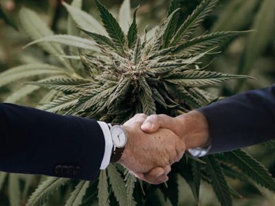 Organigram Wants To Become Canada's Largest Cannabis Company By Market Share Via $71M Acquisition Deal