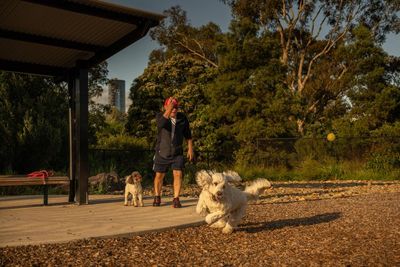 Quiet zones, sandpits and paddling pools: the paw-some evolution of Australia’s state-of-the-art dog parks