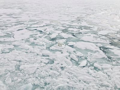 ‘The Arctic has a kind of magic’: Huw Lewis-Jones’s best phone photo