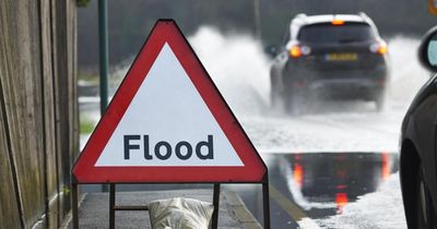 Storm Darragh causes travel disruption across Scotland with heavy wind and rain