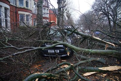 Storm Darragh causes chaos across UK as 96mph winds leave two dead and hundreds of thousands without power