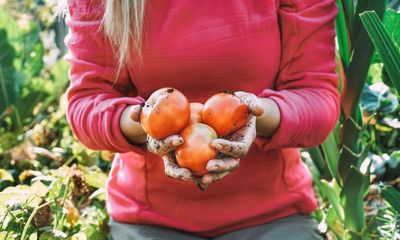 ‘Let things go feral’: how to do carbon-positive gardening in your own back yard