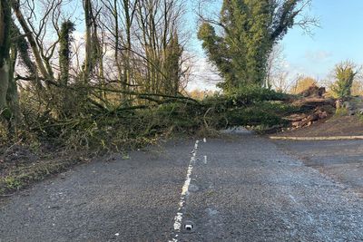 About 22,000 remain without power in Northern Ireland following Storm Darragh