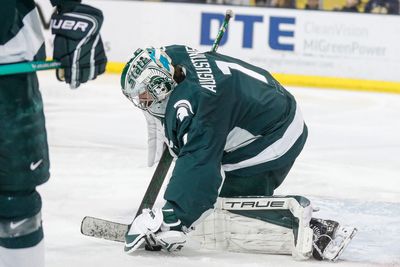 Michigan State hockey falls to Wisconsin on Friday night