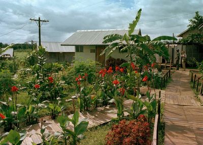 More than 900 people died in Jonestown. Guyana wants to turn it into a tourist attraction