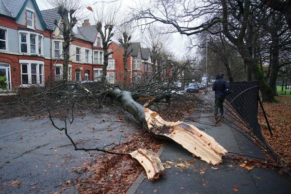 Further disruption expected as strong winds continue in wake of Storm Darragh