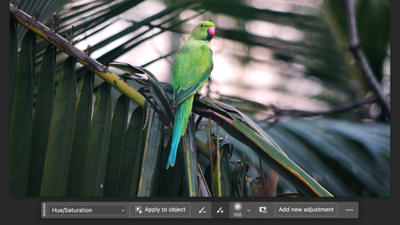 Adobe Photoshop CC (2024) review: the best photo editor gets even better