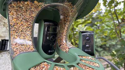 Birdfy Feeder 2 Duo review: birdwatching just doubled its fun!