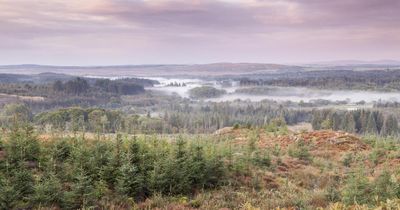 Debate over Scotland's next national park hinges on details, campaigners say