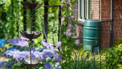 Rain chains vs rain barrels: which water management system is best – and what happens if you combine them?