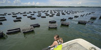 Community acceptance is key to developing shellfish farms in Canada