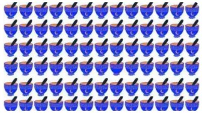 Optical illusion: Only a genius with a high IQ can spot the odd bowl in this tricky brainteaser