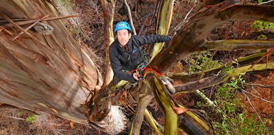 As Australia’s giant trees succumb to fire or drought, we’re racing to preserve their vital genetic data