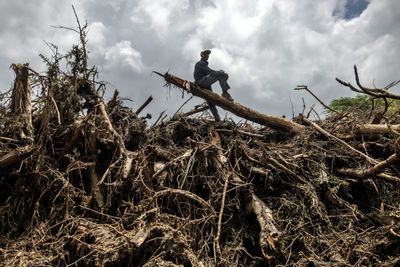 2024 'Certain' To Be Hottest Year On Record: EU Monitor