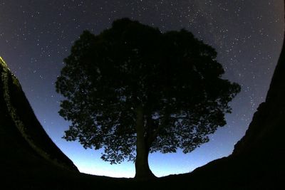 2 men are standing trial on charges they chopped down Britain's scenic Sycamore Gap tree