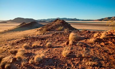 Drylands now make up 40% of land on Earth, excluding Antarctica, study says