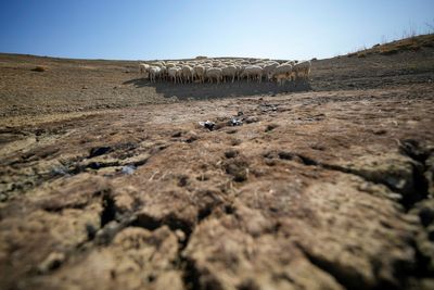 Earth's lands are drying out. Nations are trying to address it in talks this week