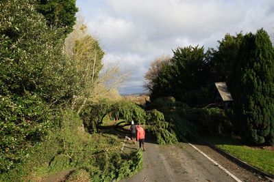 Train lines closed as Storm Darragh travel disruption lingers