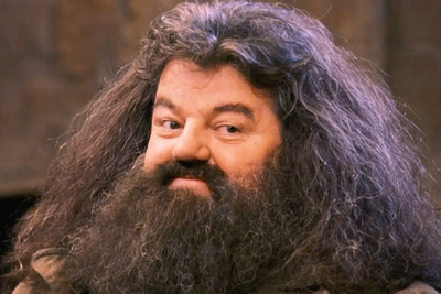 Harry Potter fans raising eyebrows after Hagrid casting rumour